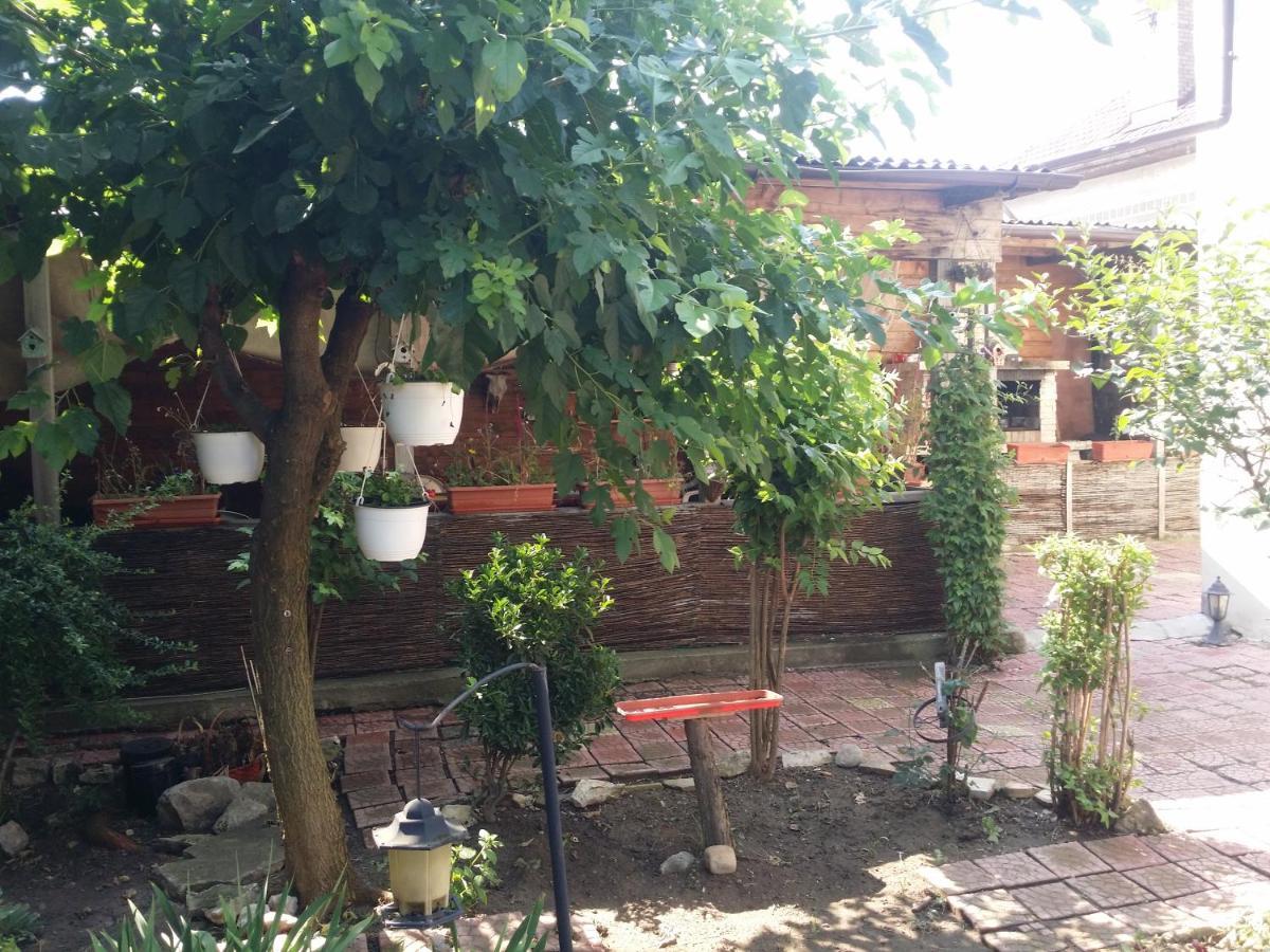 Casa Trandafirilor 호텔 툴체아 외부 사진